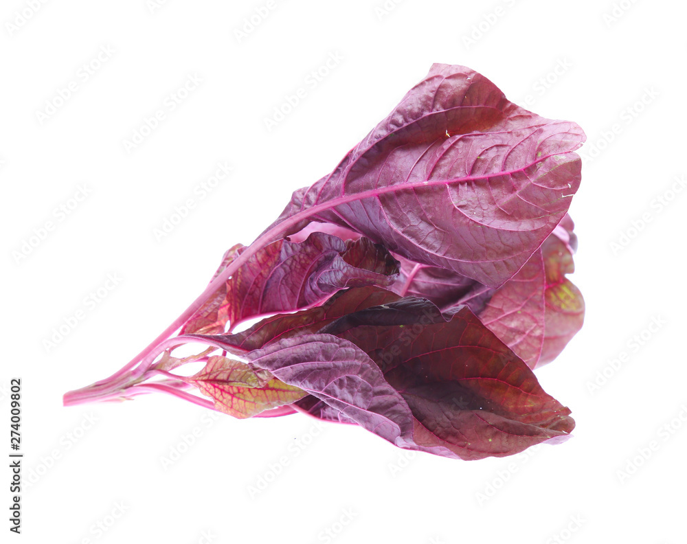 red spinach isolated on white background red spinach isolated on white background