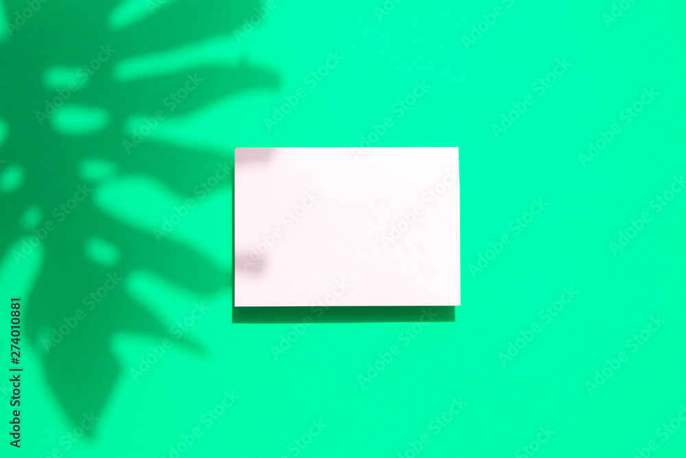 Fototapeta premium Tropical monstera palm leaf shadow with a blank white card frame