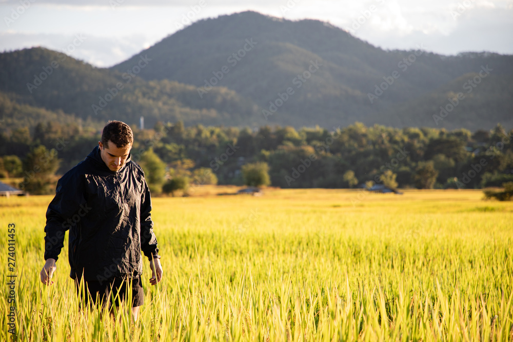 Handsome traveler man on rice fields in Thailand