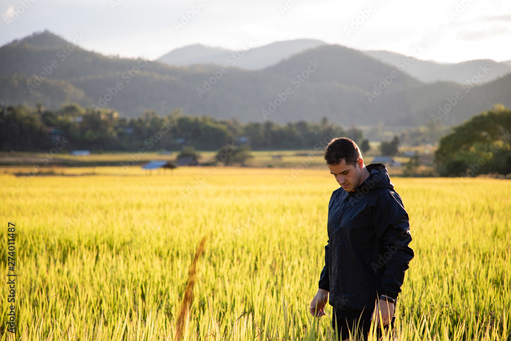 Handsome traveler man on rice fields in Thailand
