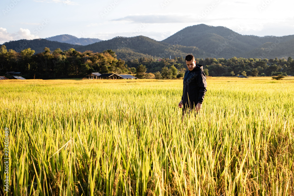 Handsome traveler man on rice fields in Thailand Handsome traveler man on rice fields in Thailand