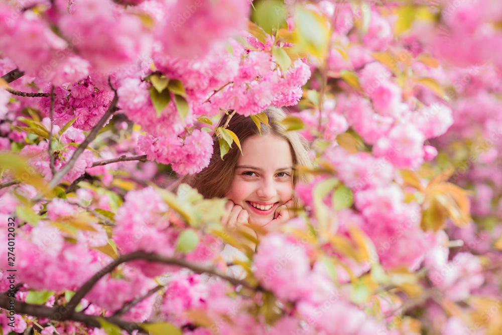 Lost in blossom. Girl enjoying cherry blossom sakura. Cute child enjoy warm spring day. Tender bloom. Girl tourist posing near sakura. Child on pink flowers of sakura tree background. Botany concept Lost in blossom. Girl enjoying cherry blossom sakura. Cute child enjoy warm spring day. Tender bloom. Girl tourist posing near sakura. Child on pink flowers of sakura tree background. Botany concept
