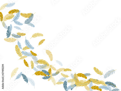 Detailed majestic feather on white design.