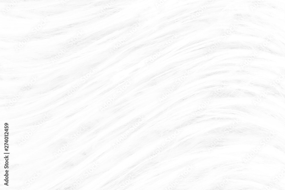 Background from natural fur. Animal Hair Background. Black and White Background. Background from natural fur. Animal Hair Background. Black and White Background.