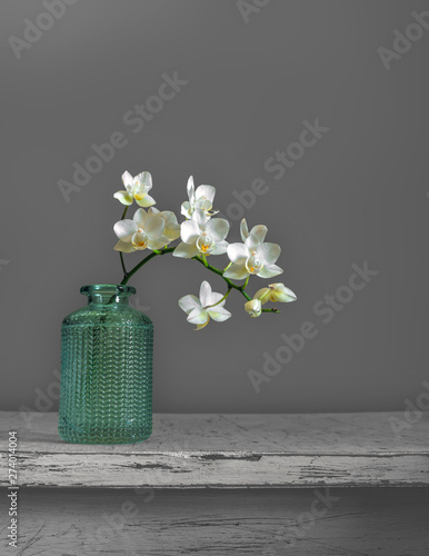 Still life with a branch of a blooming orchid. Minimalism. Vintage.