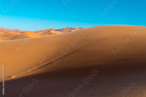 The sand dunes of Erg Chebbi at Merzouga  Morocco.