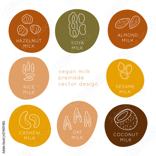 Vegan Milk package template vector