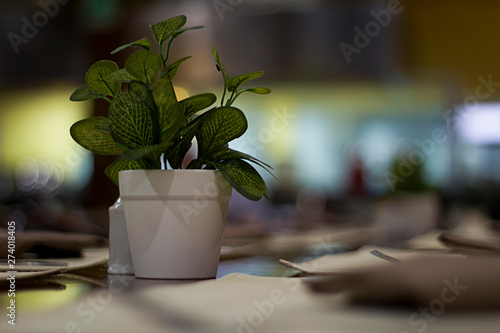 Planta en el comedor