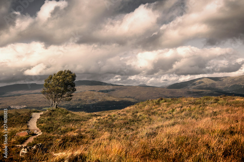 Panorama view over Scottish highlands during autumn