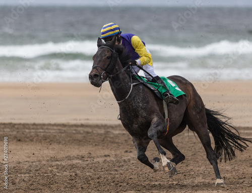 Close up on Galloping race horse horse racing action on the beach