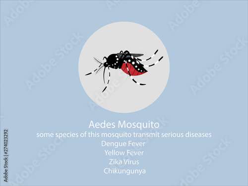 mosquito repellent illustration vector.Mosquitoes carry many disease such as dengue fever, zika disease,yellow fever and chikungunya.