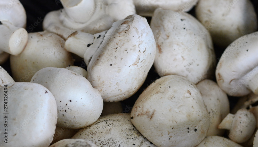 Fresh white button champignons mushrooms on the farmers' market. A lot of champignons in a basket. White mushrooms on the market.