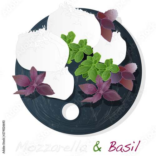 Traditional Italian Mozzarella cheese and basil on plate. White background. Vector.