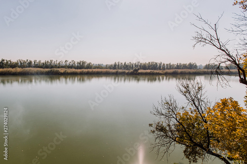 reflection of trees in water