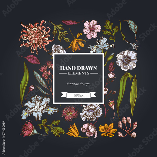Square floral design on dark background with japanese chrysanthemum, blackberry lily, eucalyptus flower, anemone, iris japonica, sakura
