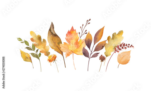 Watercolor vector card with autumn leaves and branches isolated on white background.