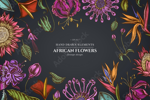 Floral design on dark background with african daisies, fuchsia, gloriosa, king protea, anthurium, strelitzia