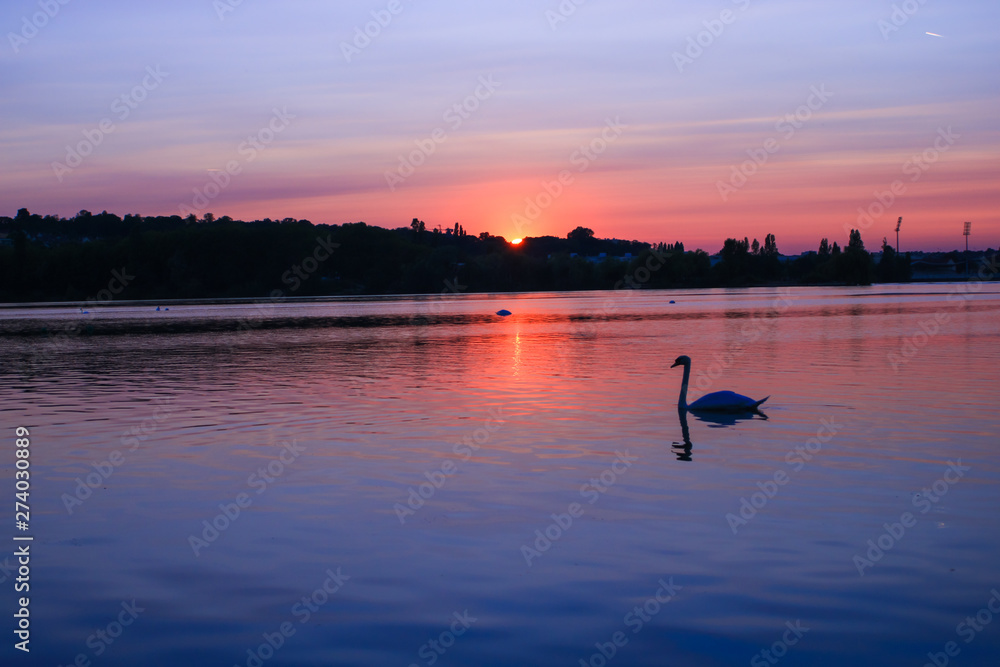 Sunset with beautiful colorful clouds over a lake Silhouette of a swan passing on the water