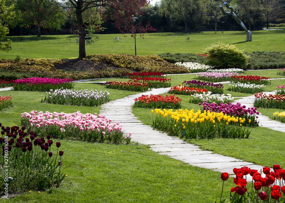 a park with multicolored tulips