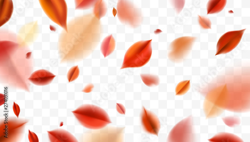 Fall blurred flying red leaves, autumn nature vector design elements for photo decoration