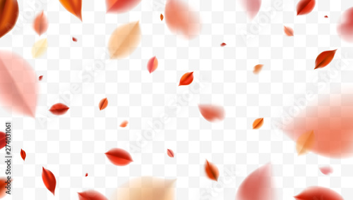 Fall blurred flying red leaves, autumn nature vector design elements for photo decoration