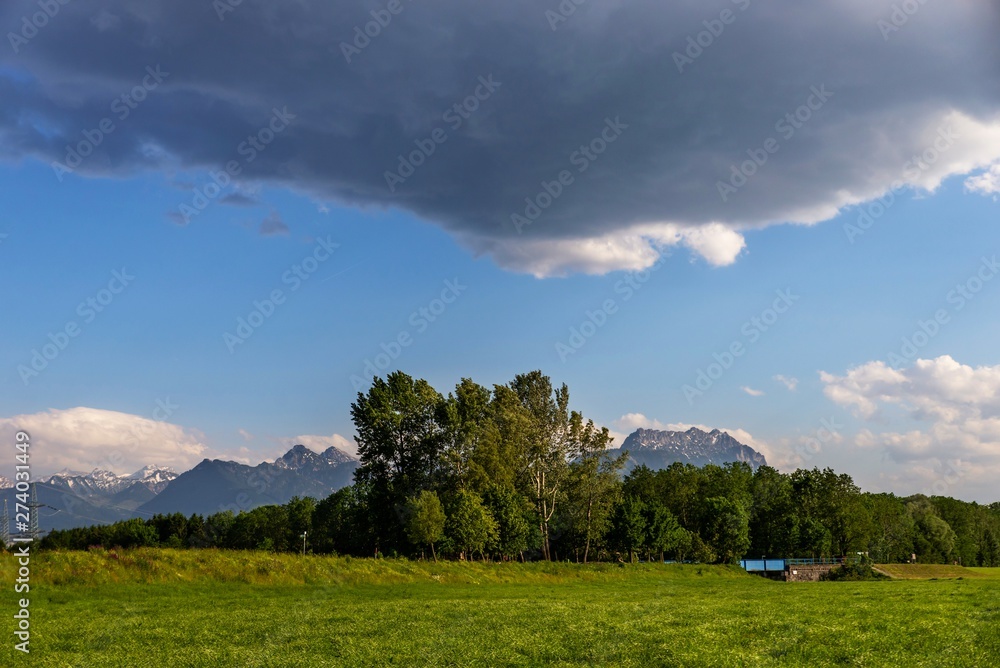 Meadow,forest, bridge and mountains, Koblach.