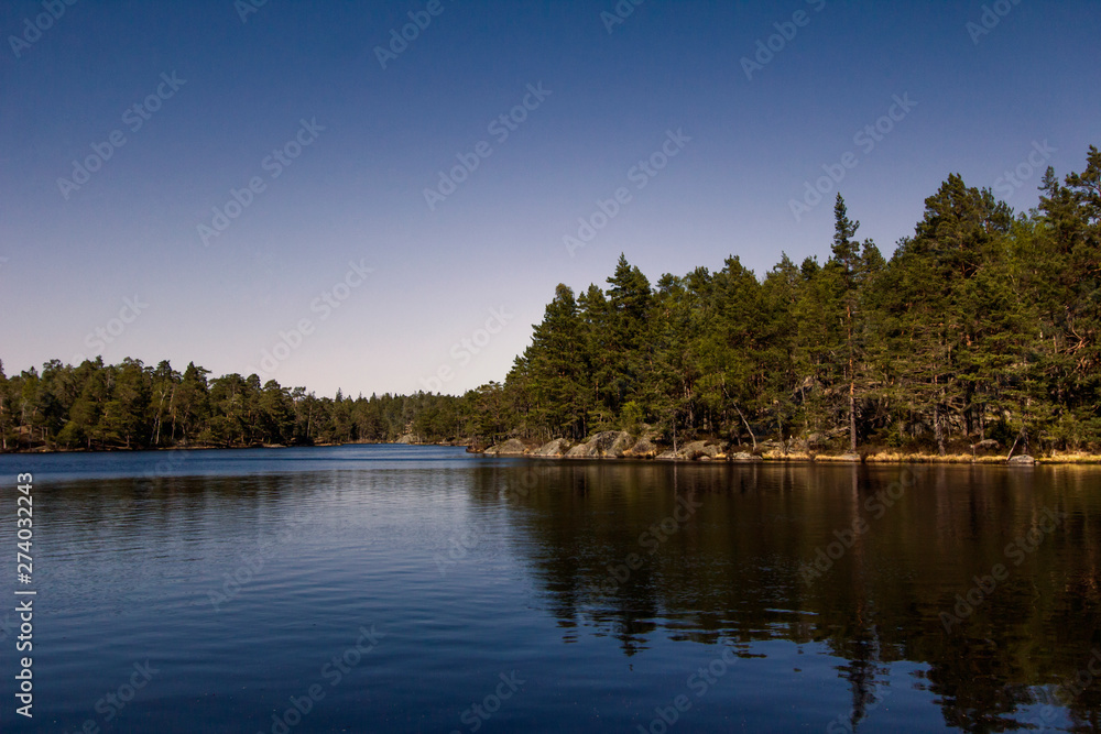 Fototapeta premium Lakeside in the Tyresta By National Park in Sweden