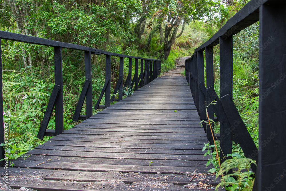 Wooden bridge on trekking path