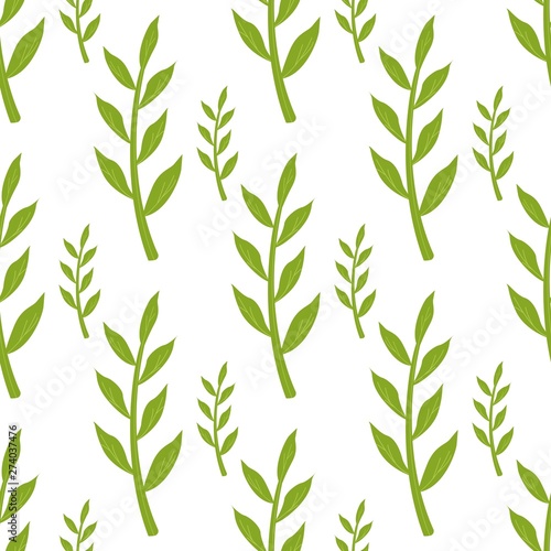 Fototapeta Naklejka Na Ścianę i Meble -  Green Stems and Leaves Seamless Pattern on White