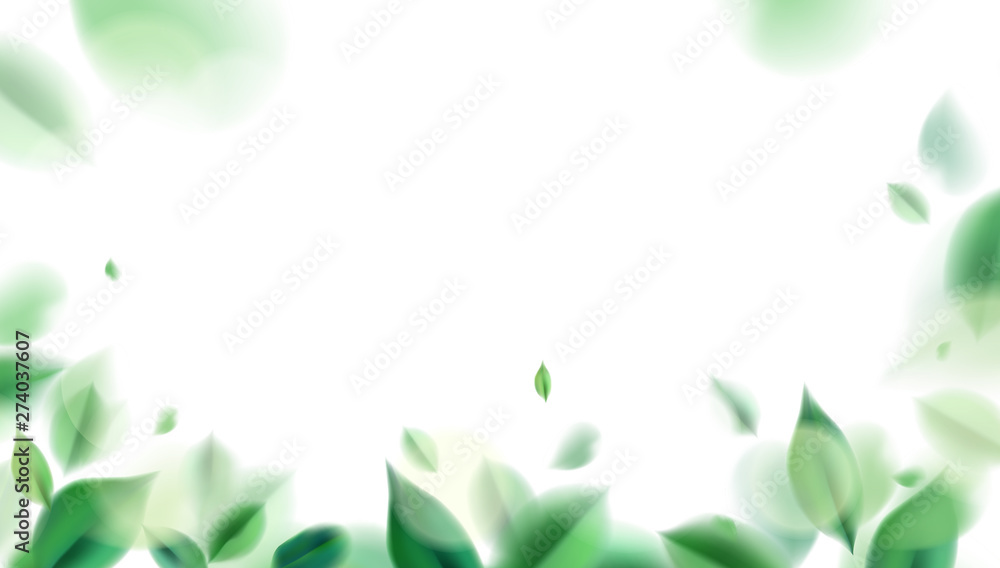 Green nature leaves on white background vector isolated elements design