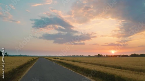 Campo di grano e strada asfaltata al centro, al tramonto. photo