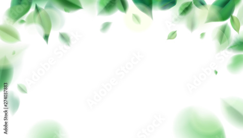 Green nature leaves on white background vector isolated elements design