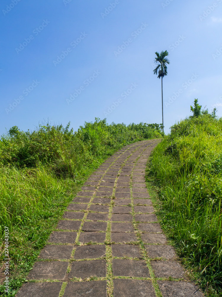 Obraz premium Trail artists. Bali island.