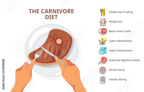 Carnivore diet advantages web banner template