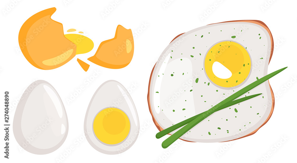 Fototapeta Raw, boiled and fried chicken egg illustrations set