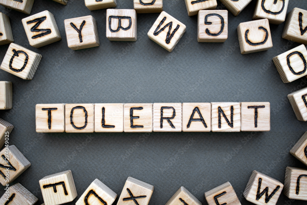 the word tolerant wooden cubes with burnt letters, tolerance towards people with different views on life, gray background top view, scattered cubes around random letters the word tolerant wooden cubes with burnt letters, tolerance towards people with different views on life, gray background top view, scattered cubes around random letters
