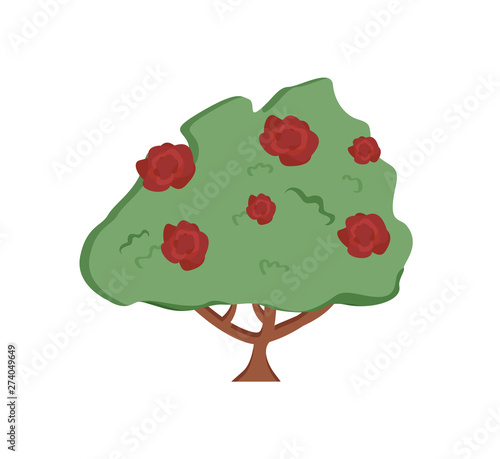 Flowers vector, bush with flowering isolated flora flat style natural blooming, roses or tree with trunk, garden orchard scene, rural area countryside