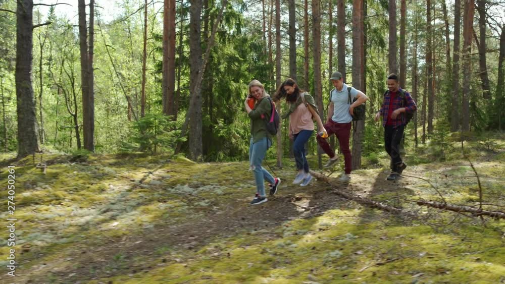 Group of four cheerful hikers with backpacks having fun while walking along trail through pine forest, side view tracking left shot Group of four cheerful hikers with backpacks having fun while walking along trail through pine forest, side view tracking left shot