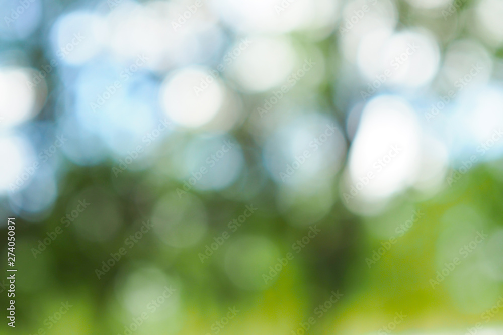 Obraz premium Abstract green bokeh out of focus background from tree in nature
