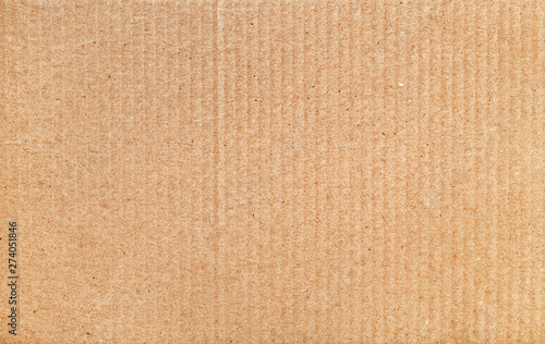 The texture of the rough surface of the cardboard.