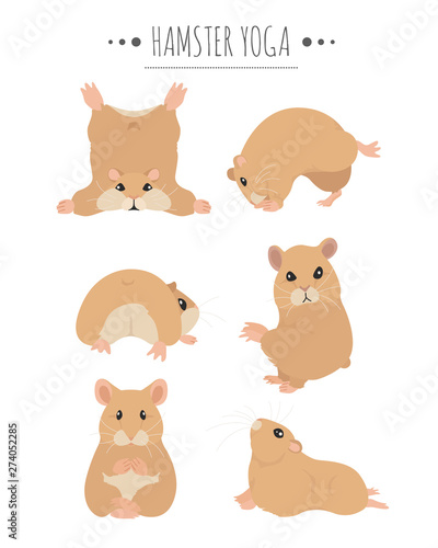 Hamsters yoga poses and exercises. Cute cartoon clipart set.