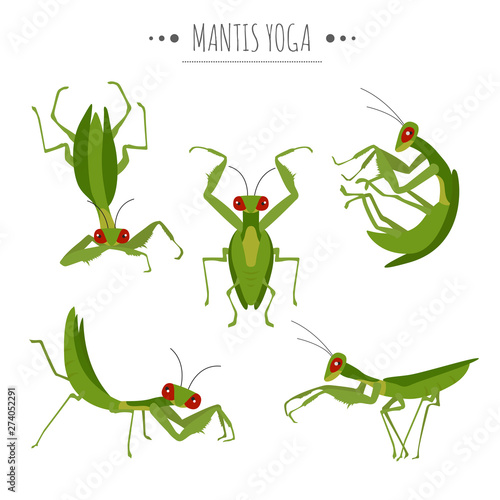 Mantis yoga poses and exercises. Cute cartoon clipart set