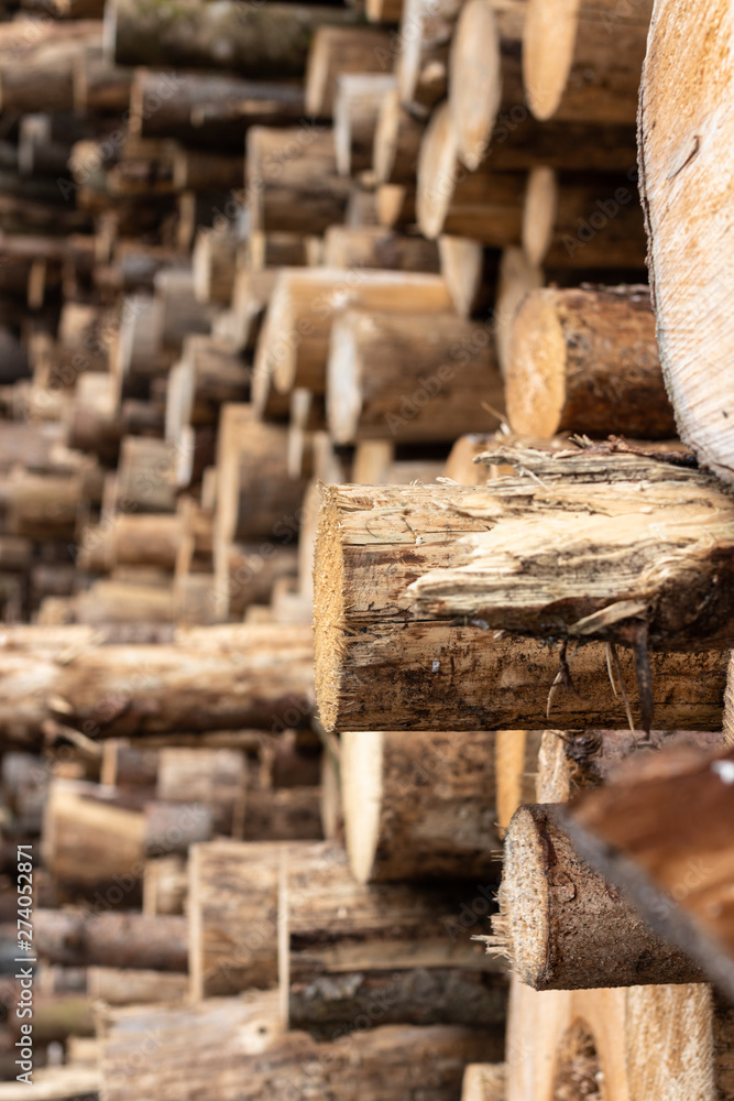 An industrial stack of tree trunks. An industrial stack of tree trunks.
