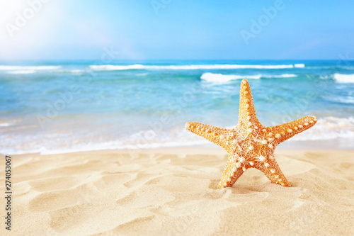 holidays. sand beach and starfish in front of summer sea background with copy space