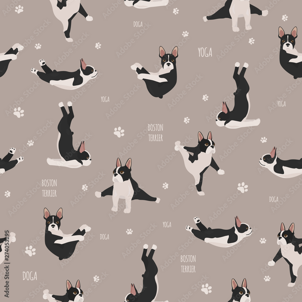 Yoga dogs poses and exercises. French bulldog  seamless pattern