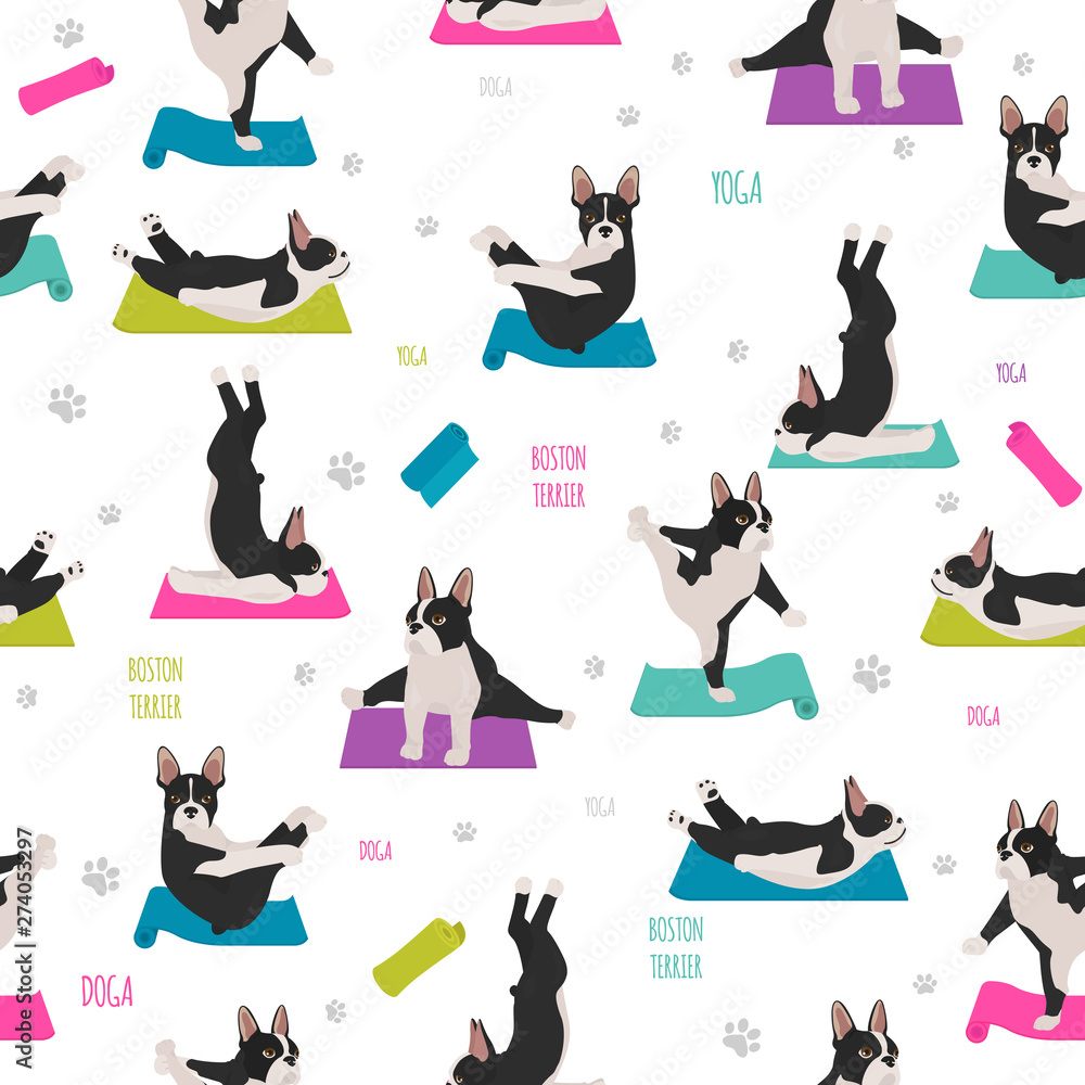 Yoga dogs poses and exercises. French bulldog seamless pattern Yoga dogs poses and exercises. French bulldog seamless pattern