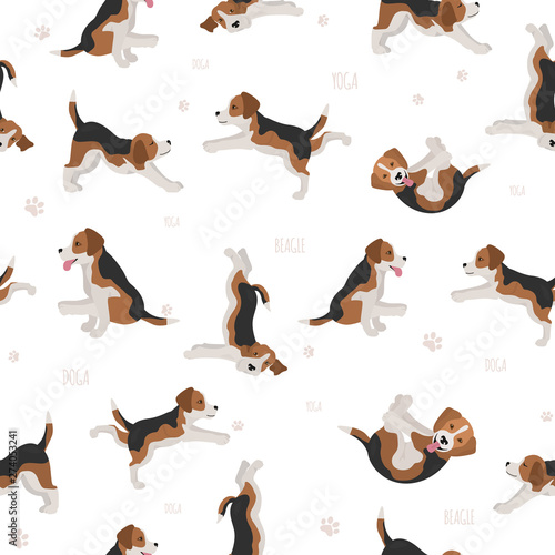 Yoga dogs poses and exercises. Beagle seamless pattern
