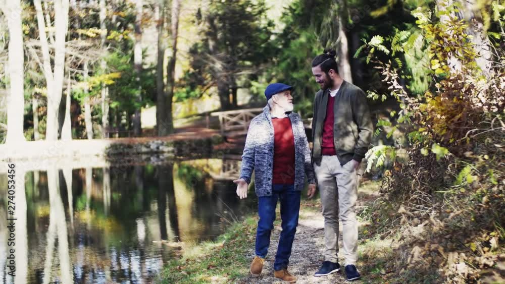 Senior father and his son walking in nature, talking. Senior father and his son walking in nature, talking.