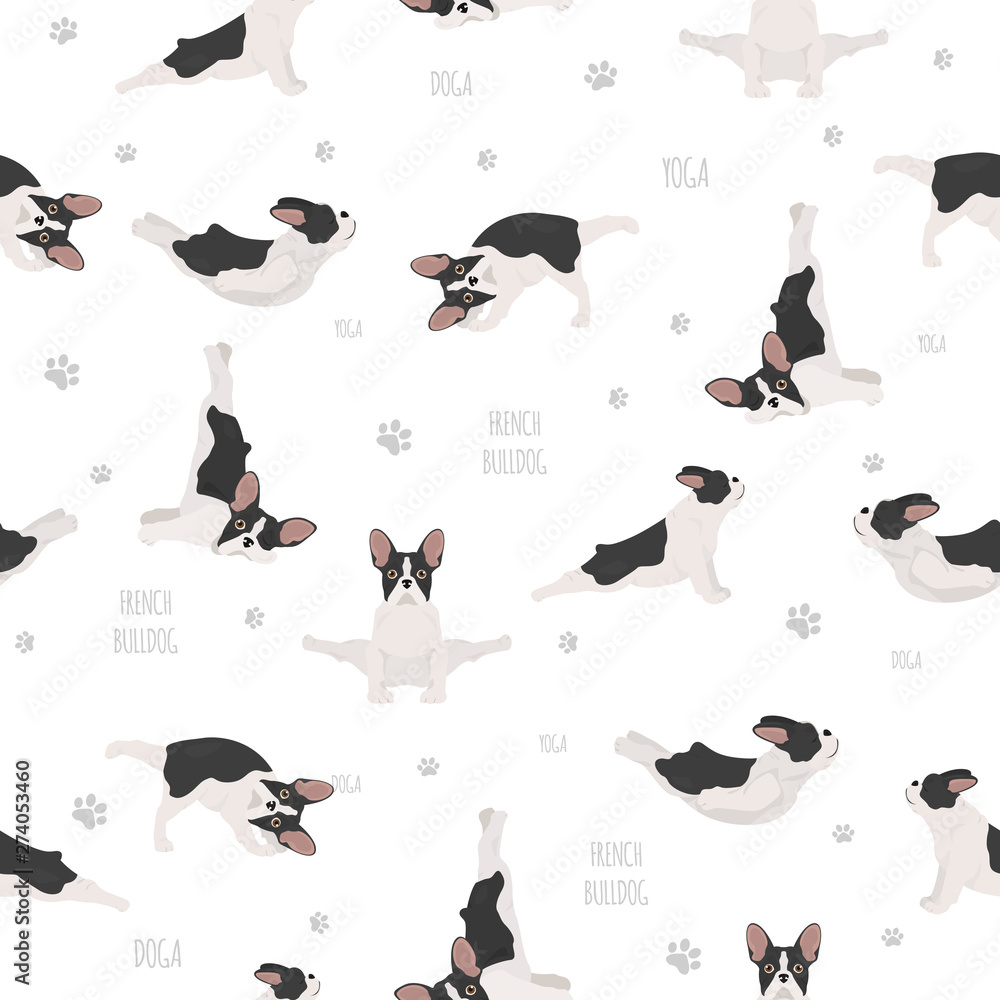 Yoga dogs poses and exercises. French bulldog seamless pattern
