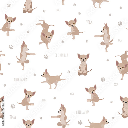 Yoga dogs poses and exercises. Chihuahua seamless pattern